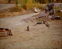 PDVD_2569