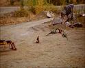 PDVD_2570