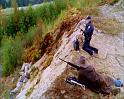 PDVD_2667