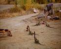 PDVD_2673