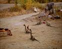 PDVD_2674