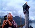 PDVD_491