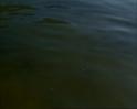 PDVD_627
