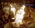 PDVD_959