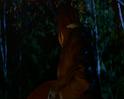 PDVD_998
