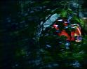 PDVD_999
