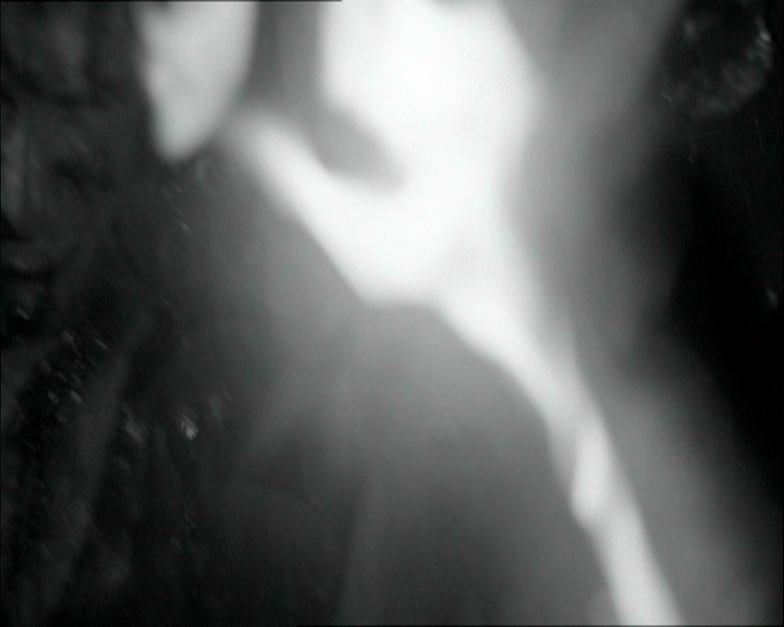 PDVD_1733.jpg