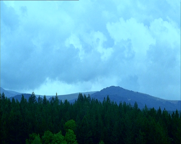 PDVD_1775.jpg