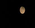 PDVD_1479