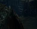PDVD_1490