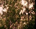 PDVD_1929