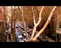 PDVD_1170