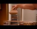 PDVD_1330