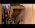 PDVD_1468