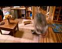 PDVD_1476