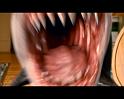 PDVD_1479