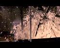 PDVD_1774