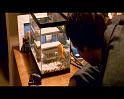 PDVD_410