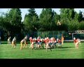 PDVD_067.jpg