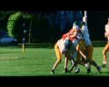 PDVD_071.jpg