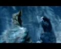 PDVD_2129.jpg