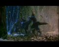 PDVD_920.jpg