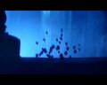 PDVD_1584.jpg