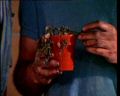 PDVD_155.jpg