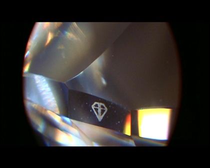 PDVD_1216.jpg