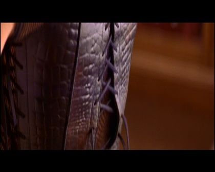 PDVD_1337.jpg