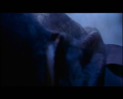PDVD_2231.jpg