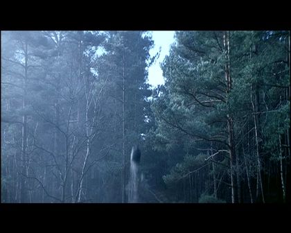 PDVD_294.jpg