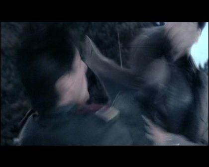 PDVD_329.jpg