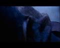 PDVD_2231