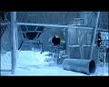 PDVD_2645