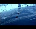PDVD_2699