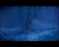PDVD_2836