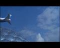 PDVD_2990