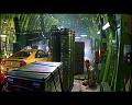 PDVD_3166