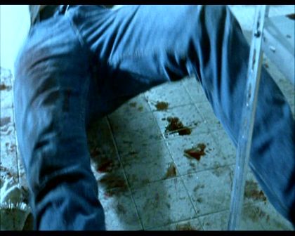 PDVD_400.jpg