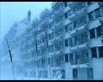 PDVD_476.jpg