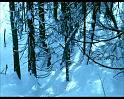 PDVD_1022