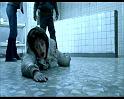PDVD_1086