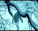PDVD_1105