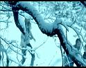 PDVD_1107