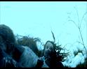 PDVD_1116