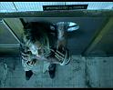 PDVD_1135
