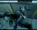 PDVD_1138