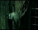 PDVD_1156