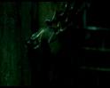 PDVD_1195
